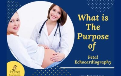 What is The Purpose of Fetal Echocardiography?
