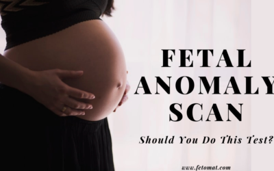 Fetal Anomaly Scan: Should You Do This Test?
