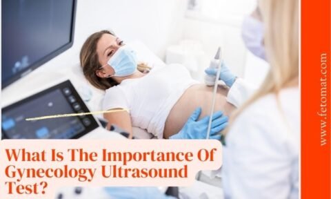 What Is The Importance Of Gynecology Ultrasound Test? - Fetomat Wellness