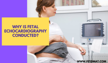 fetal echocardiography cost in kolkata