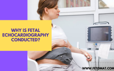 Why Is Fetal Echocardiography Conducted?