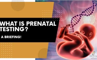 What Is Prenatal Testing? : A Briefing!