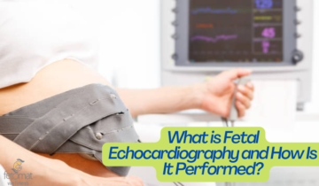 fetal echocardiography at 24 weeks