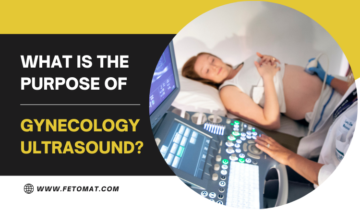 gynecology ultrasound scan kolkata