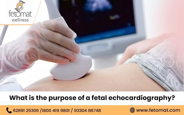 best fetal medicine specialist in Kolkata