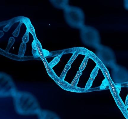 Why Genetic Counselling matters in pregnancy? | Fetomat