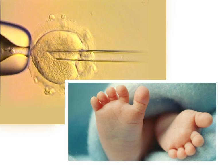 Babies made using three people's DNA are born free of hereditary disease