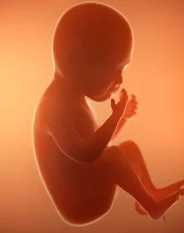 What the Scan Can Reveal