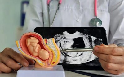 Why Detailed Pregnancy Scans Are Important in Fetal Medicine